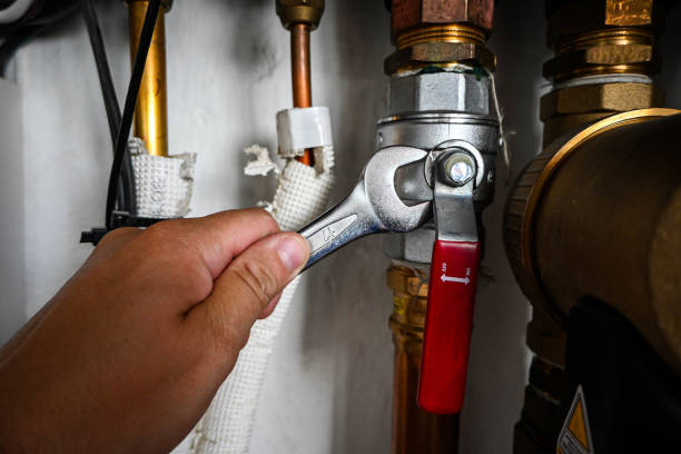Best Shower Repair Services  in Bushyhead, OK